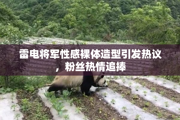 雷电将军性感裸体造型引发热议，粉丝热情追捧