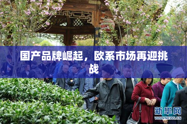 国产品牌崛起，欧系市场再迎挑战