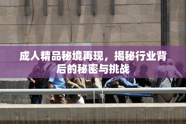 成人精品秘境再现，揭秘行业背后的秘密与挑战