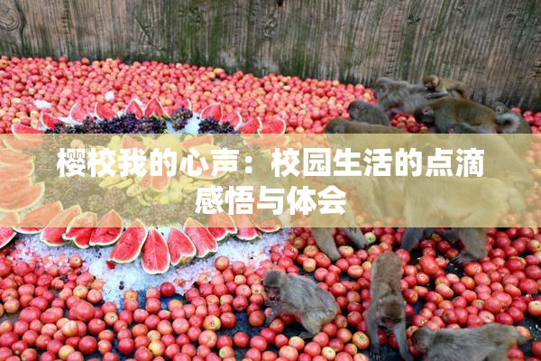 樱校我的心声：校园生活的点滴感悟与体会