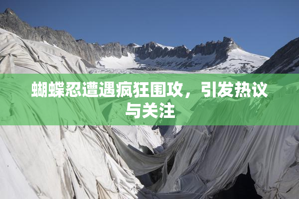 蝴蝶忍遭遇疯狂围攻，引发热议与关注