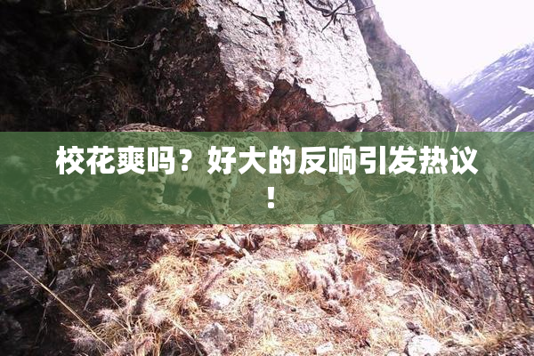 校花爽吗？好大的反响引发热议！