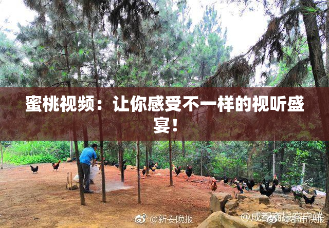 蜜桃视频：让你感受不一样的视听盛宴！