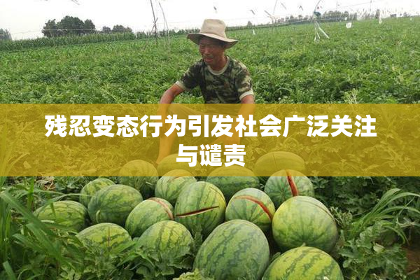 残忍变态行为引发社会广泛关注与谴责