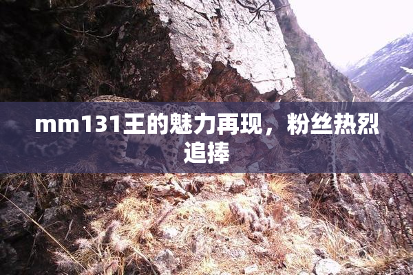 mm131王的魅力再现，粉丝热烈追捧