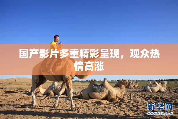 国产影片多重精彩呈现，观众热情高涨