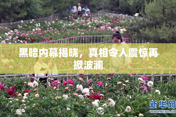 黑暗内幕揭晓，真相令人震惊再掀波澜