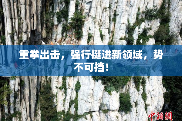 重拳出击，强行挺进新领域，势不可挡！