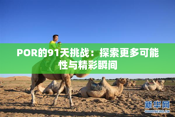POR的91天挑战：探索更多可能性与精彩瞬间