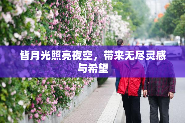 皆月光照亮夜空，带来无尽灵感与希望
