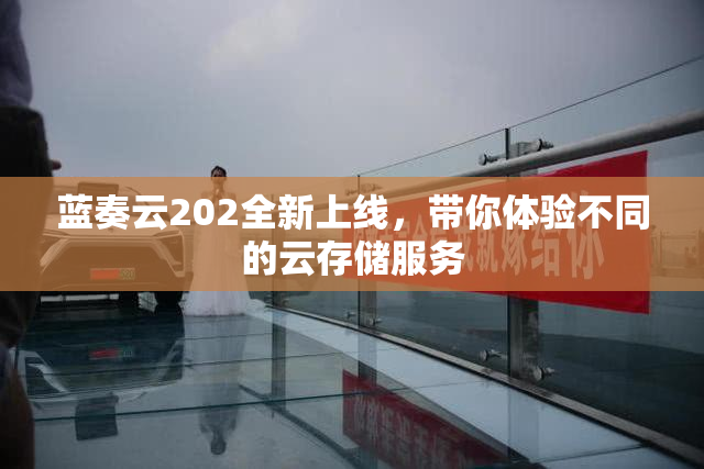 蓝奏云202全新上线，带你体验不同的云存储服务