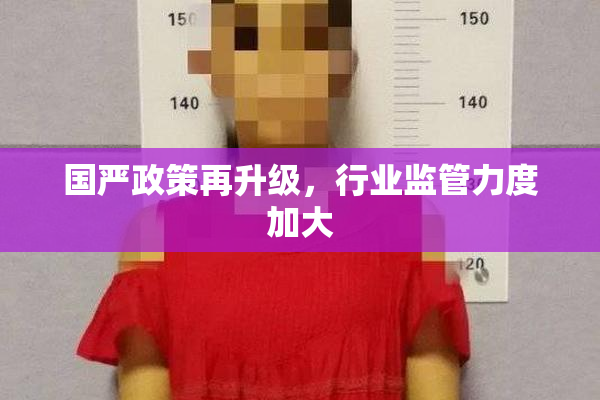 国严政策再升级，行业监管力度加大