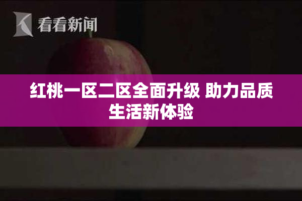 红桃一区二区全面升级 助力品质生活新体验