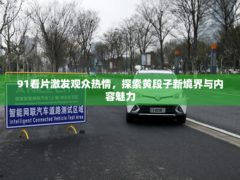 91看片激发观众热情，探索黄段子新境界与内容魅力