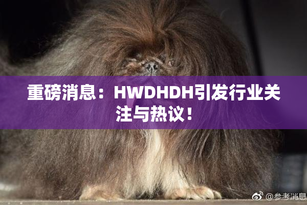 重磅消息：HWDHDH引发行业关注与热议！