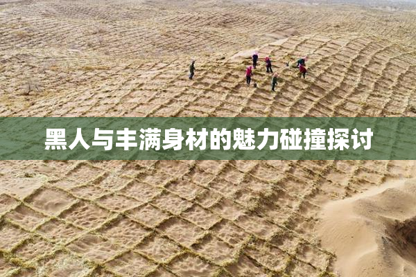 黑人与丰满身材的魅力碰撞探讨