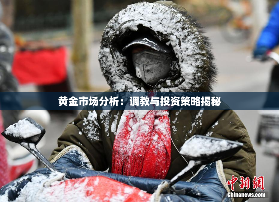 黄金市场分析：调教与投资策略揭秘
