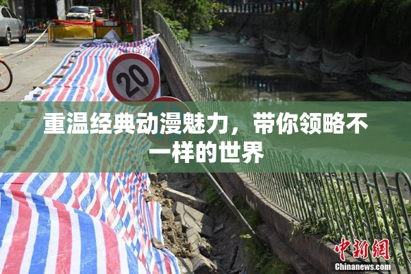 重温经典动漫魅力，带你领略不一样的世界