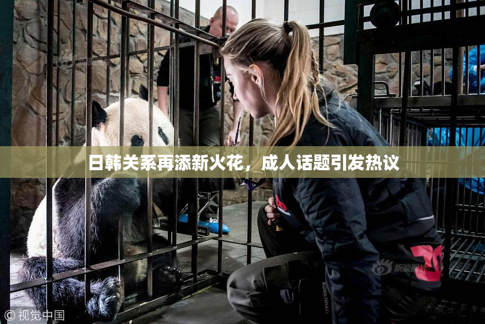 日韩关系再添新火花，成人话题引发热议