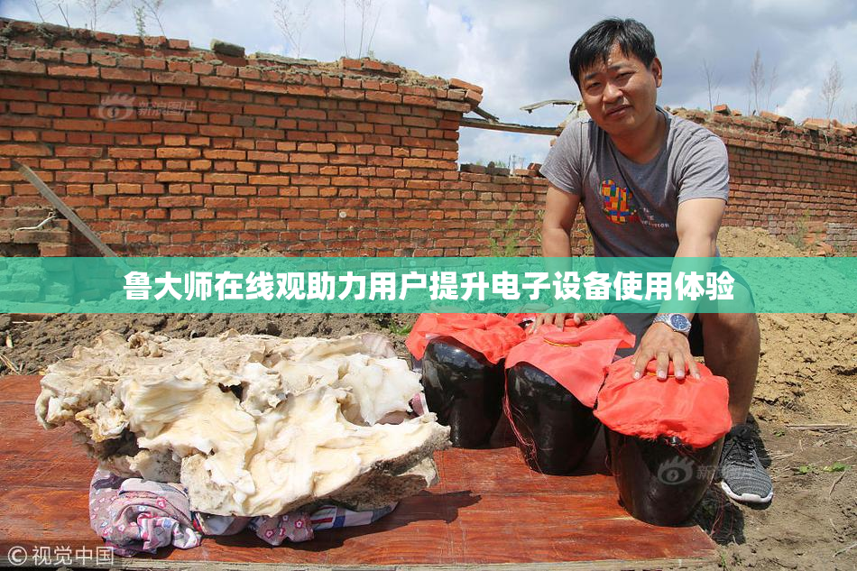 鲁大师在线观助力用户提升电子设备使用体验
