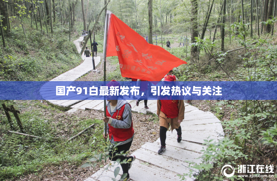 国产91白最新发布，引发热议与关注