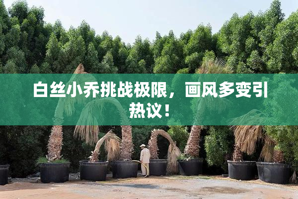 白丝小乔挑战极限，画风多变引热议！
