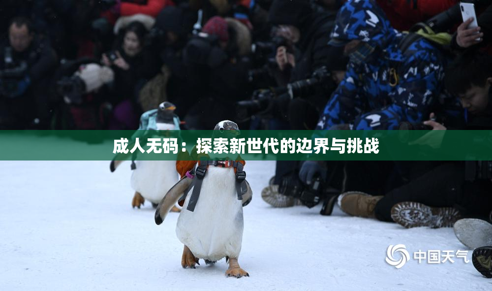 成人无码：探索新世代的边界与挑战