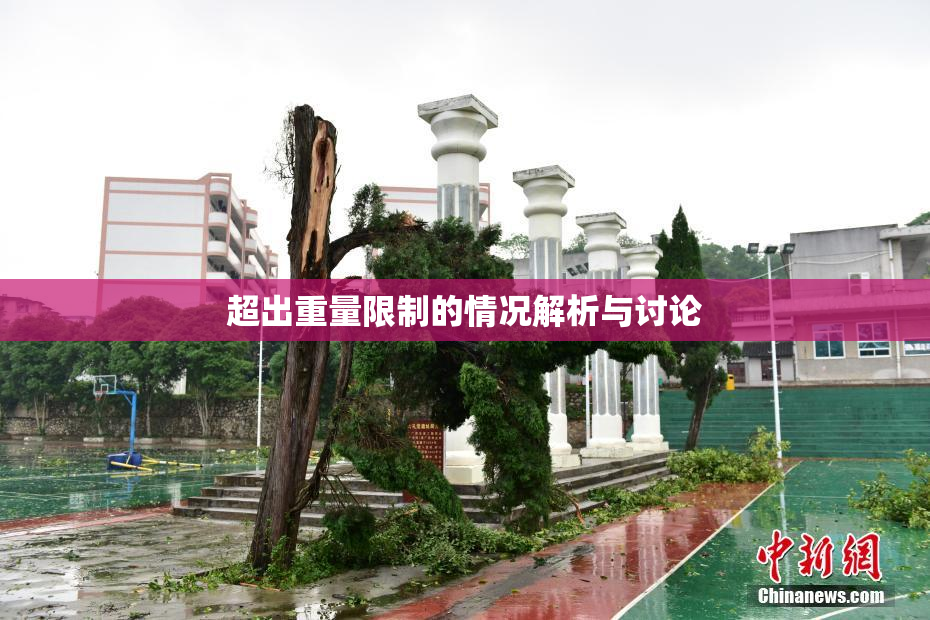 超出重量限制的情况解析与讨论