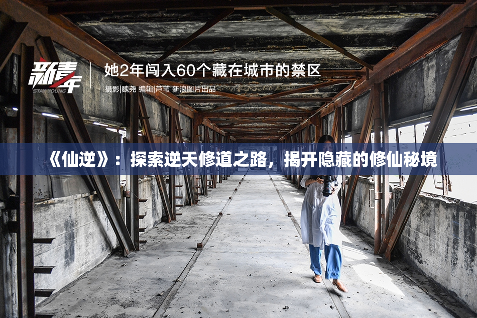 《仙逆》：探索逆天修道之路，揭开隐藏的修仙秘境