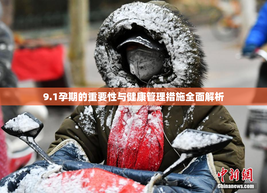 9.1孕期的重要性与健康管理措施全面解析
