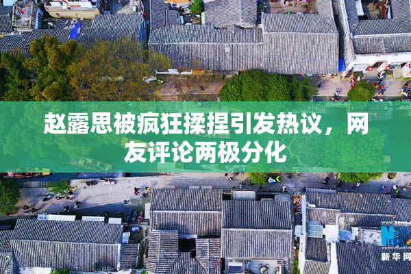 赵露思被疯狂揉捏引发热议，网友评论两极分化