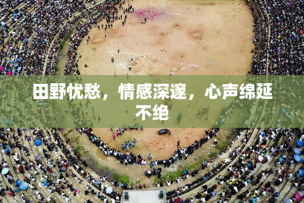 田野忧愁，情感深邃，心声绵延不绝