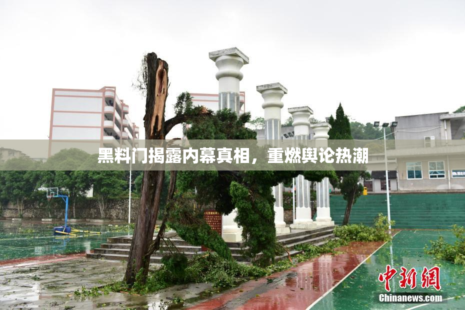 黑料门揭露内幕真相，重燃舆论热潮