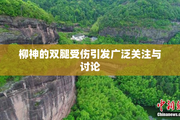 柳神的双腿受伤引发广泛关注与讨论