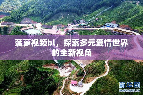 菠萝视频bl，探索多元爱情世界的全新视角