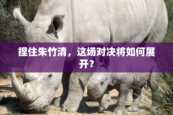 捏住朱竹清，这场对决将如何展开？