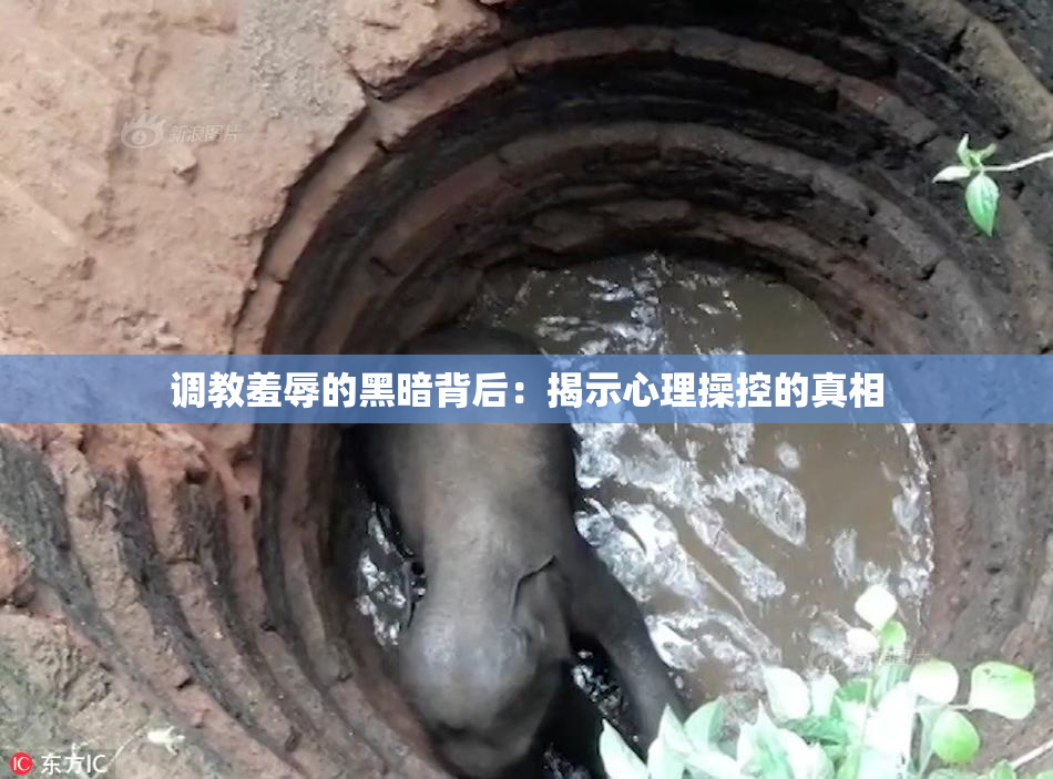 调教羞辱的黑暗背后：揭示心理操控的真相