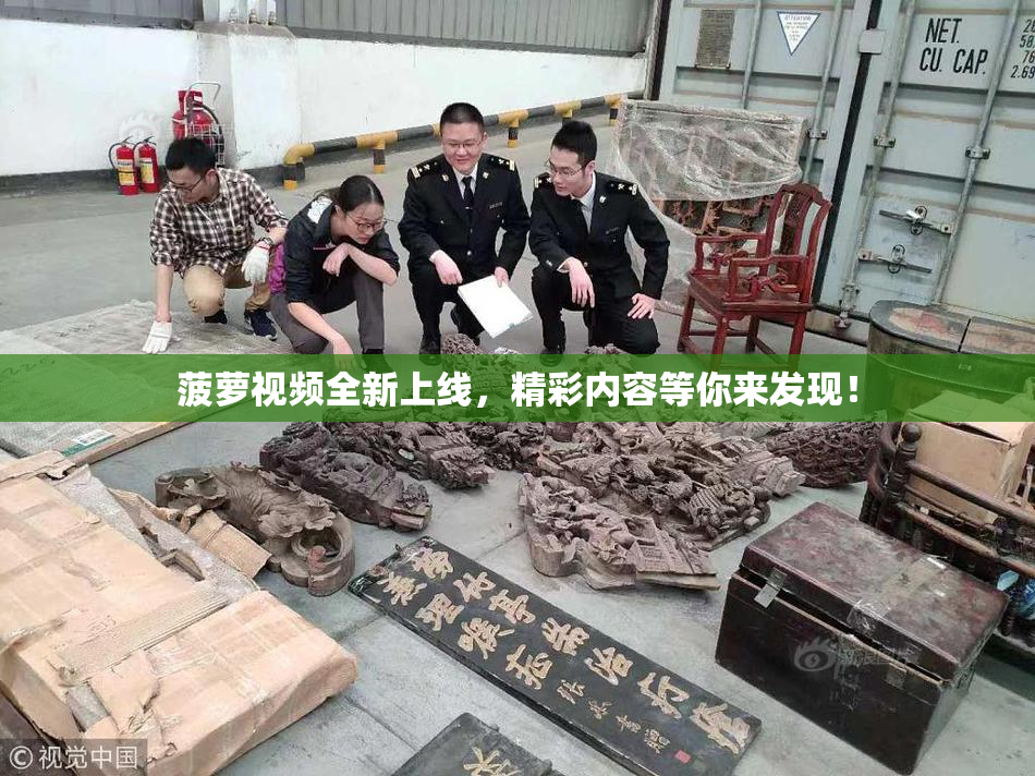 菠萝视频全新上线，精彩内容等你来发现！