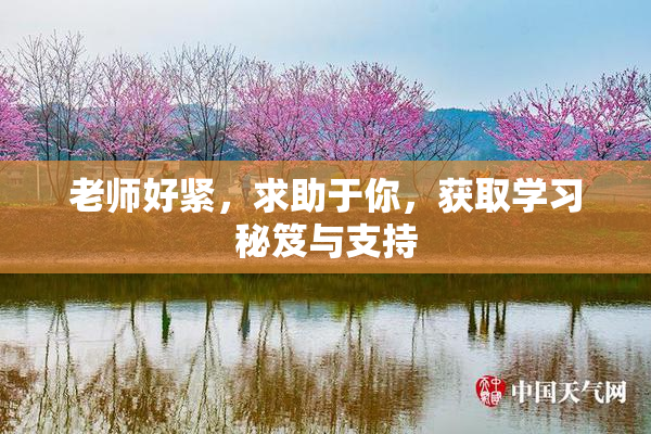 老师好紧，求助于你，获取学习秘笈与支持
