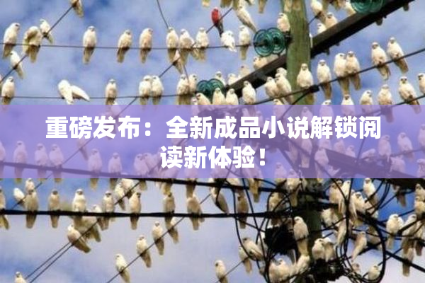 重磅发布：全新成品小说解锁阅读新体验！