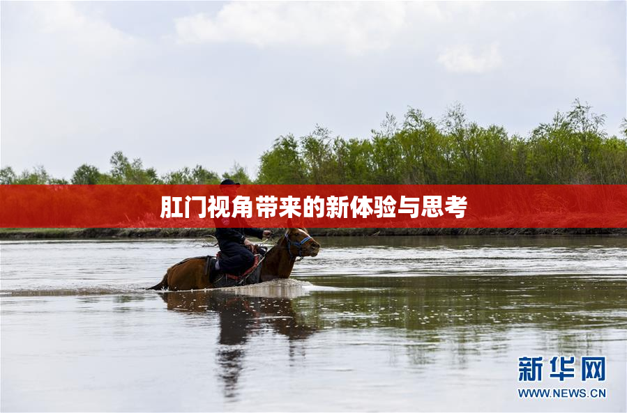 肛门视角带来的新体验与思考