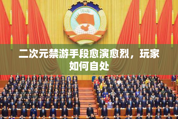 二次元禁游手段愈演愈烈，玩家如何自处