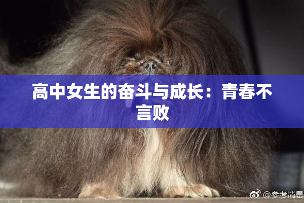 高中女生的奋斗与成长：青春不言败