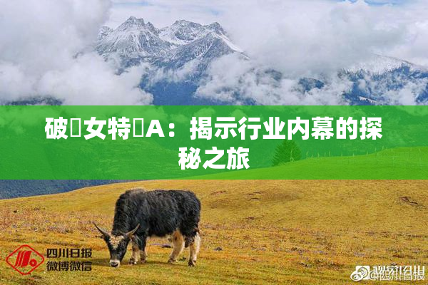 破處女特級A：揭示行业内幕的探秘之旅