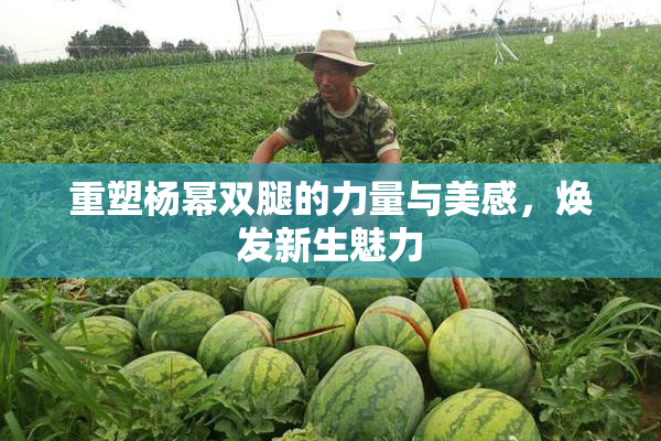 重塑杨幂双腿的力量与美感，焕发新生魅力