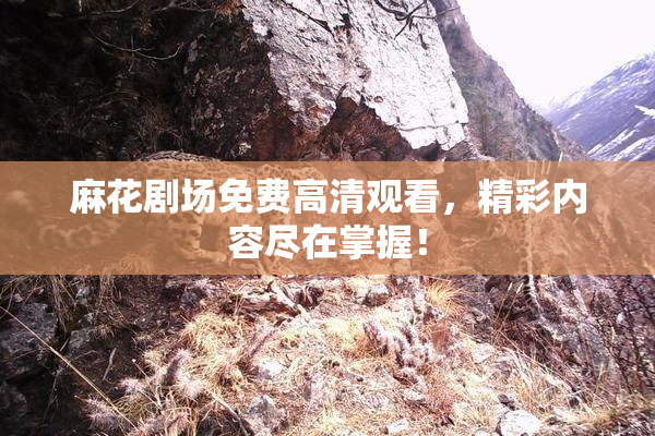 麻花剧场免费高清观看，精彩内容尽在掌握！