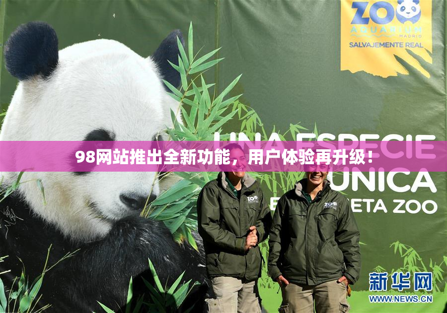 98网站推出全新功能，用户体验再升级！