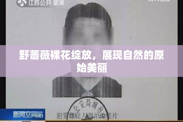 野蔷薇裸花绽放，展现自然的原始美丽