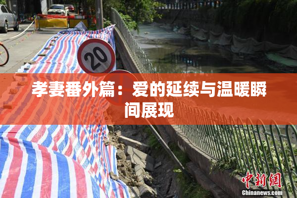 孝妻番外篇：爱的延续与温暖瞬间展现