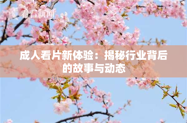 成人看片新体验：揭秘行业背后的故事与动态